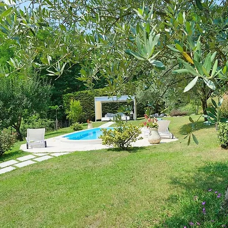 Rosarancio Bed and Breakfast Μπασάνο Ντελ Γκράπα