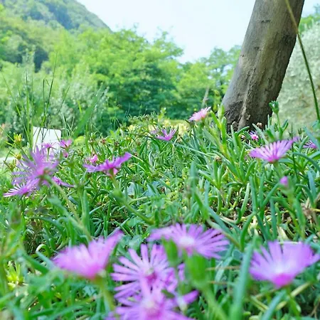 洛斯阿兰希住宿加早餐旅馆 巴萨诺－德尔格拉帕