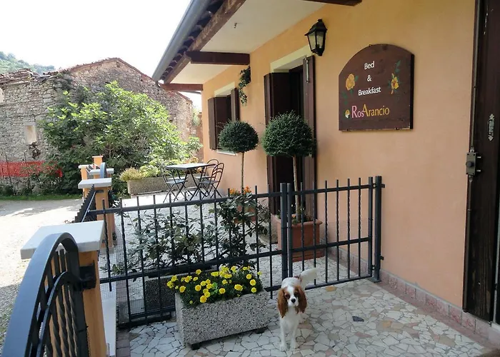 Rosarancio Bassano del Grappa