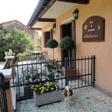 Rosarancio Bassano del Grappa